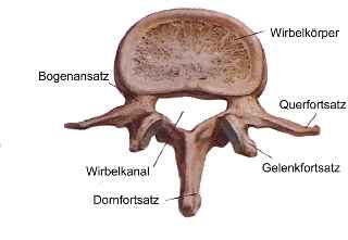 Aufbau eines Wirbels